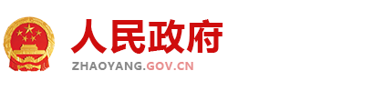 (PC+WAP)演示站政府协会类网站模板 红色风格政府网站源码下载